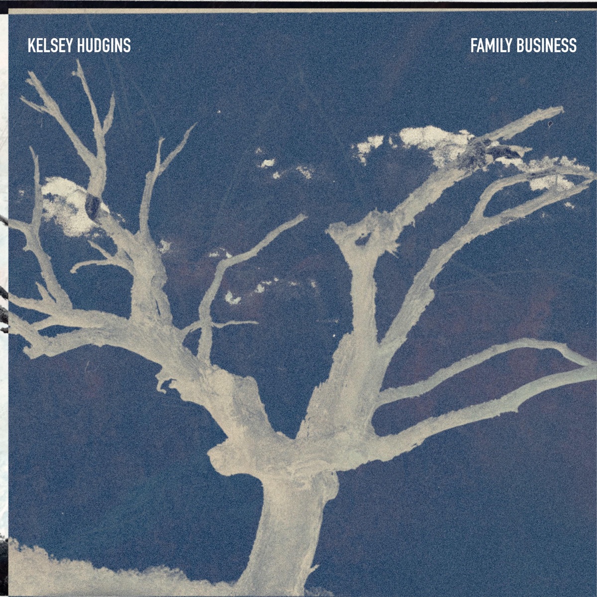 Family Business — official cover artwork